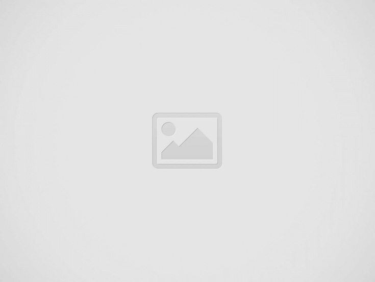 Construction Machinery and Equipment